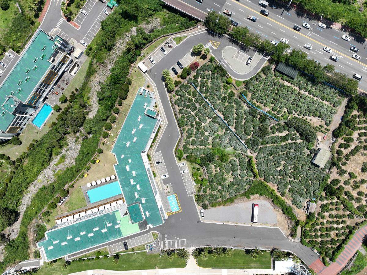 Shin Shin Hotel Jeju City Dış mekan fotoğraf