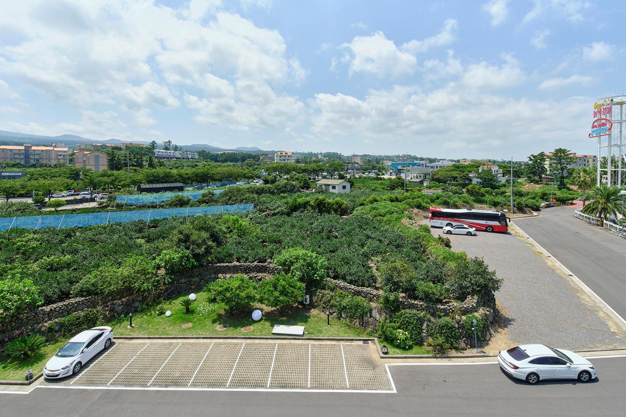 Shin Shin Hotel Jeju City Dış mekan fotoğraf