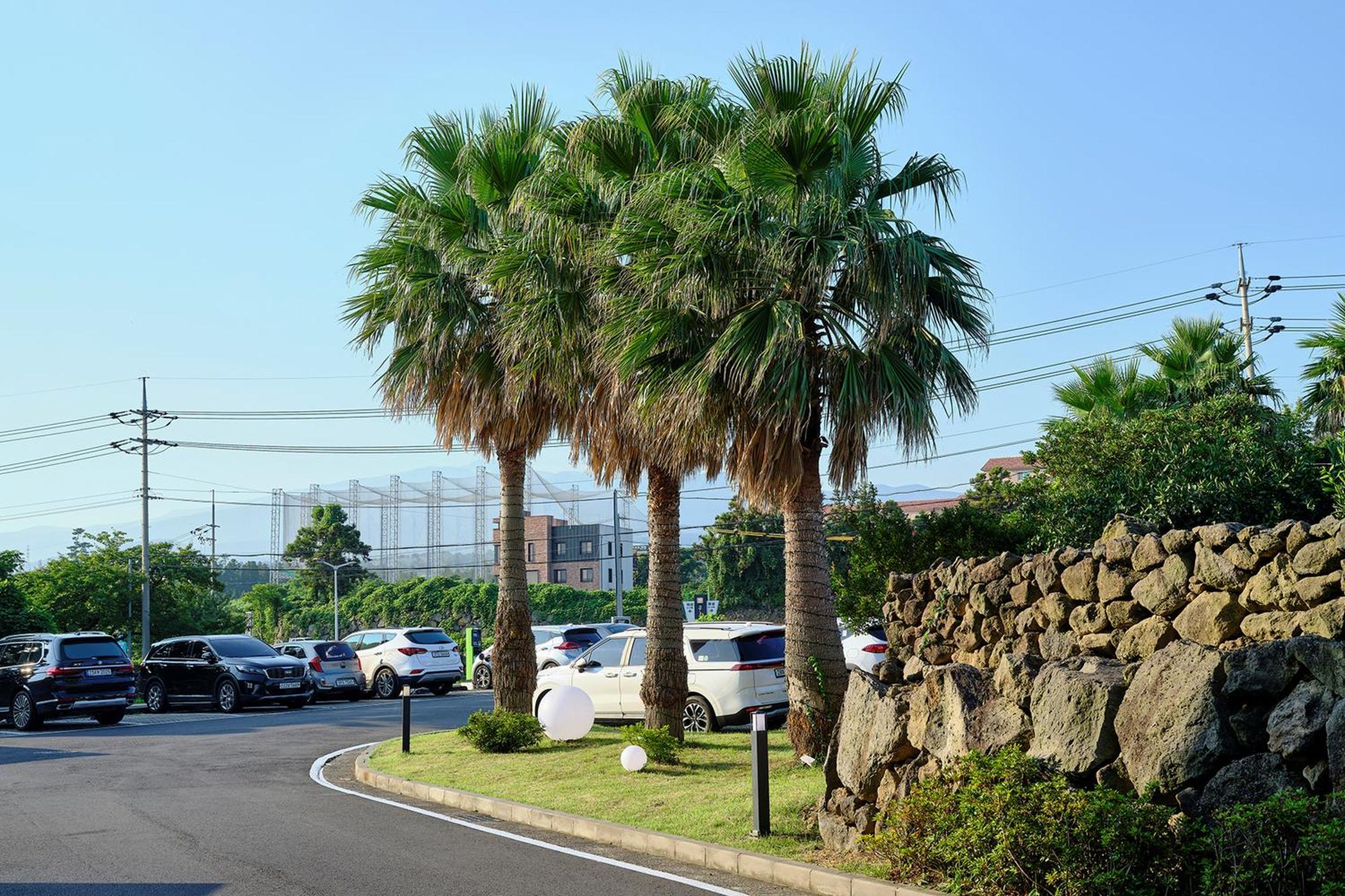 Shin Shin Hotel Jeju City Dış mekan fotoğraf
